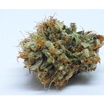 Legalized OG by Seattle's Private Reserve